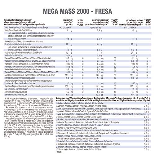Weider Mega Mass 2000 - 3
